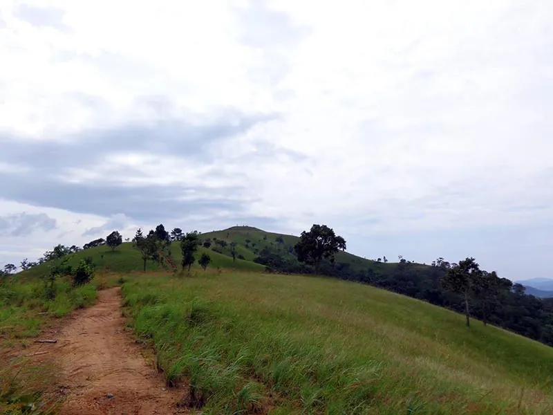 Trekking Tà Năng - Phan Dũng - Bước đến thiên đường Trekking Tà Năng Phan Dũng Bước đến thiên đường