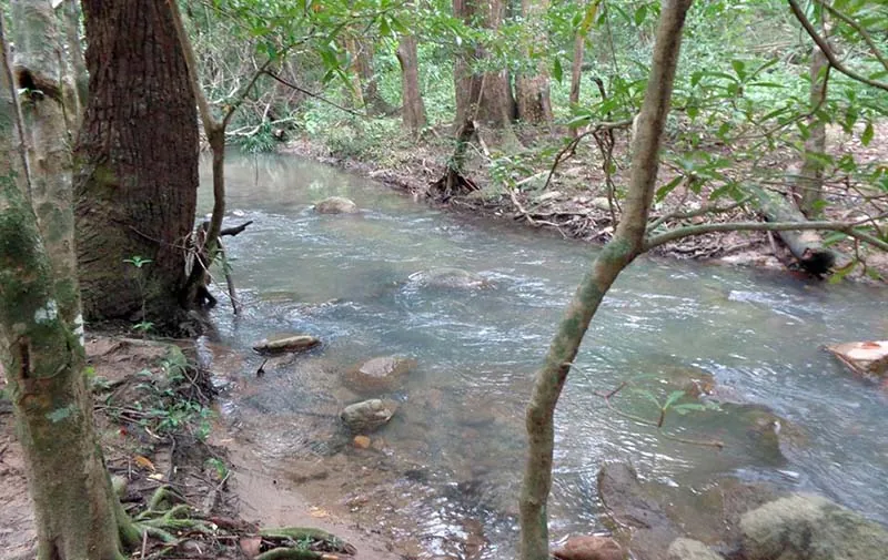 Trekking Tà Năng - Phan Dũng - Bước đến thiên đường Trekking Tà Năng Phan Dũng Bước đến thiên đường