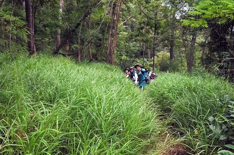 Trekking Tà Năng - Phan Dũng - Bước đến thiên đường Trekking Tà Năng Phan Dũng Bước đến thiên đường