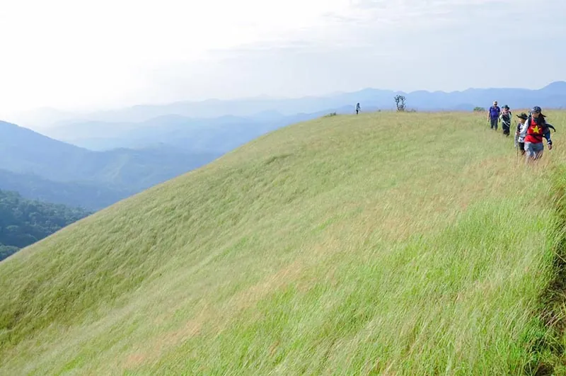 Trekking Tà Năng - Phan Dũng - Bước đến thiên đường Trekking Tà Năng Phan Dũng Bước đến thiên đường