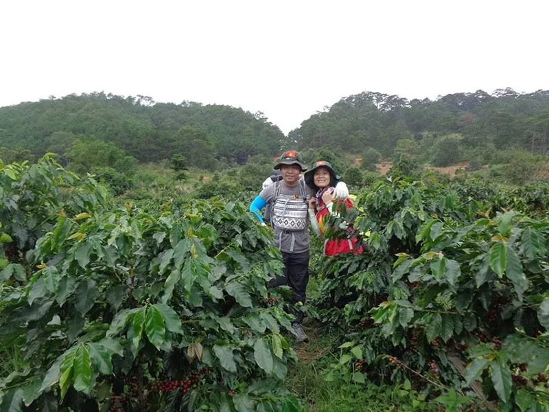 Trekking Tà Năng - Phan Dũng - Bước đến thiên đường Trekking Tà Năng Phan Dũng Bước đến thiên đường