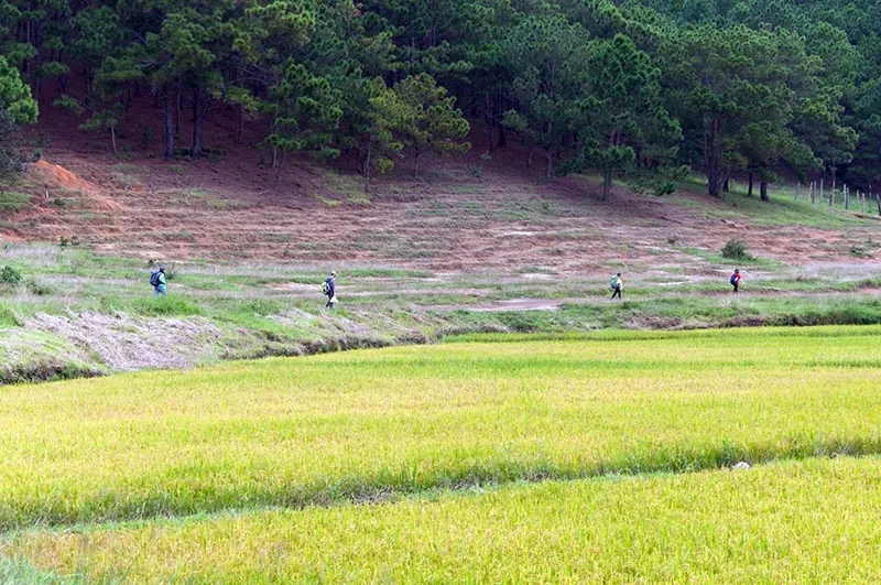 Trekking Tà Năng - Phan Dũng - Bước đến thiên đường Trekking Tà Năng Phan Dũng Bước đến thiên đường