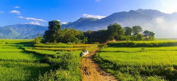 Tú Lệ - Nàng thơ của vùng rẻo cao Tây Bắc Tú Lệ Nàng thơ của vùng rẻo cao Tây Bắc