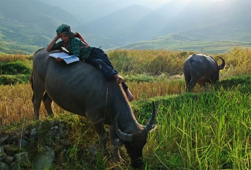 Tú Lệ - Nàng thơ của vùng rẻo cao Tây Bắc Tú Lệ Nàng thơ của vùng rẻo cao Tây Bắc