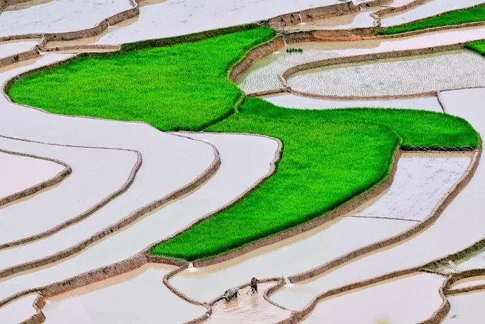 Tú Lệ - Nàng thơ của vùng rẻo cao Tây Bắc Tú Lệ Nàng thơ của vùng rẻo cao Tây Bắc