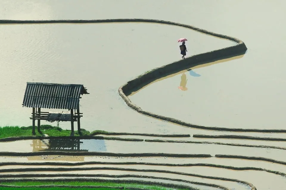 Tú Lệ - Nàng thơ của vùng rẻo cao Tây Bắc Tú Lệ Nàng thơ của vùng rẻo cao Tây Bắc