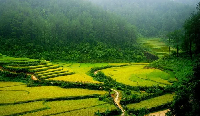 Tú Lệ - Nàng thơ của vùng rẻo cao Tây Bắc Tú Lệ Nàng thơ của vùng rẻo cao Tây Bắc