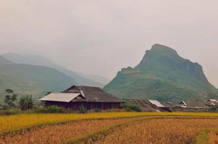 Tú Lệ - Nàng thơ của vùng rẻo cao Tây Bắc Tú Lệ Nàng thơ của vùng rẻo cao Tây Bắc