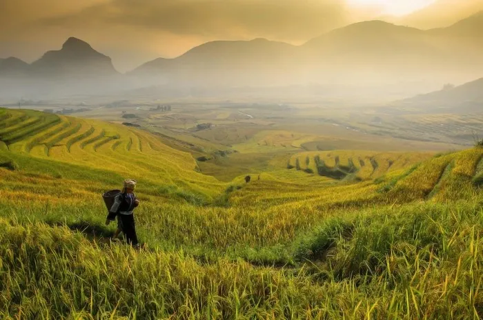 Tú Lệ - Nàng thơ của vùng rẻo cao Tây Bắc Tú Lệ Nàng thơ của vùng rẻo cao Tây Bắc