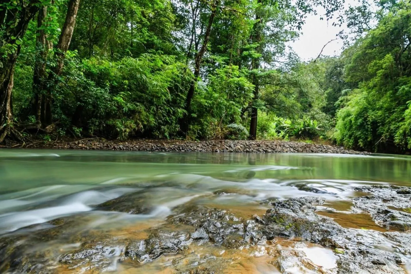 Về Bình Phước khám phá thiên nhiên hoang sơ