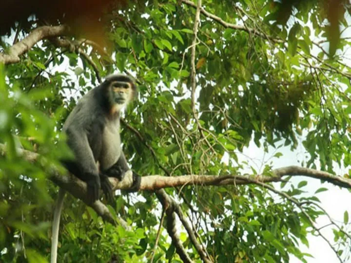 Về Bình Phước khám phá thiên nhiên hoang sơ