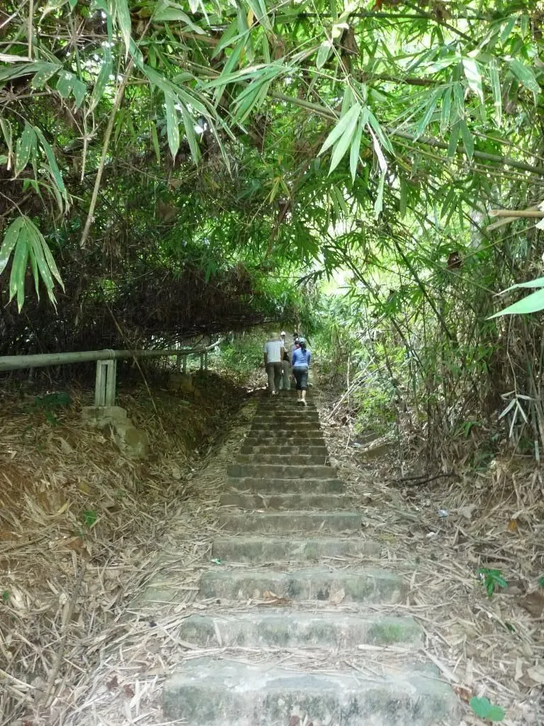 Về Bình Phước khám phá thiên nhiên hoang sơ
