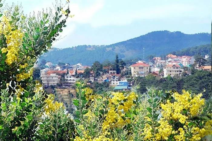 Về Đà Lạt mùa xuân - Ngỡ như lạc bước một thiên đường Về Đà Lạt mùa xuân ngỡ như lạc bước một thiên đường
