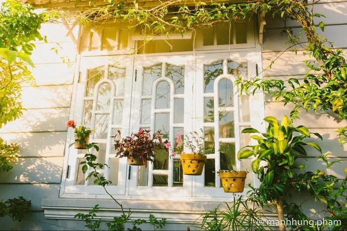 Về Đà Lạt mùa xuân - Ngỡ như lạc bước một thiên đường Về Đà Lạt mùa xuân ngỡ như lạc bước một thiên đường