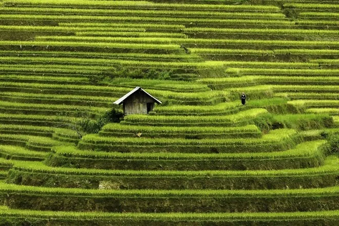 Việt Nam mảnh ghép sắc màu trong mắt nhiếp ảnh gia Pháp