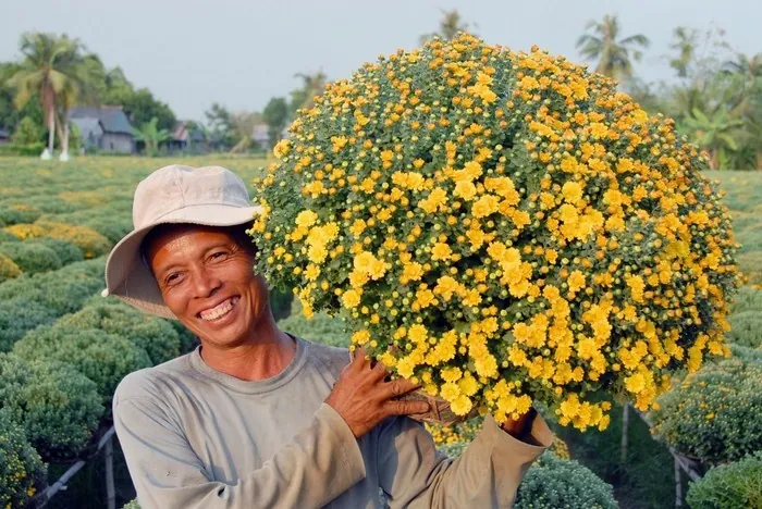 Xứ dừa - Thành phố Bến Tre có gì chơi? Xứ dừa Thành phố Bến Tre có gì chơi?