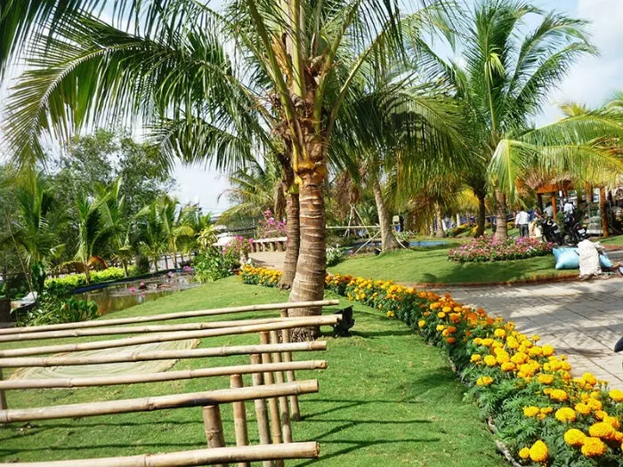 Xứ dừa - Thành phố Bến Tre có gì chơi? Xứ dừa Thành phố Bến Tre có gì chơi?
