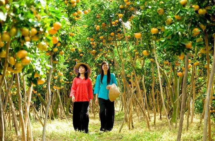 Xứ dừa - Thành phố Bến Tre có gì chơi? Xứ dừa Thành phố Bến Tre có gì chơi?