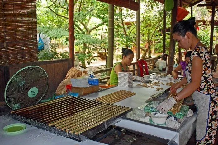 Xứ dừa - Thành phố Bến Tre có gì chơi? Xứ dừa Thành phố Bến Tre có gì chơi?