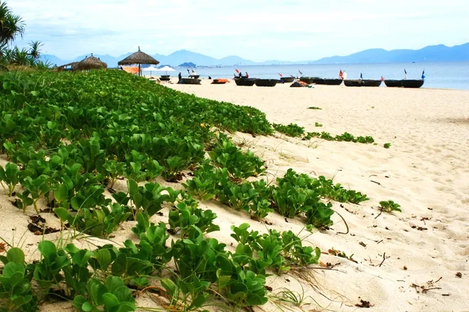 Cuộc sống vạn chài ở biển An Bàng Cuộc sống vạn chài ở biển An Bàng