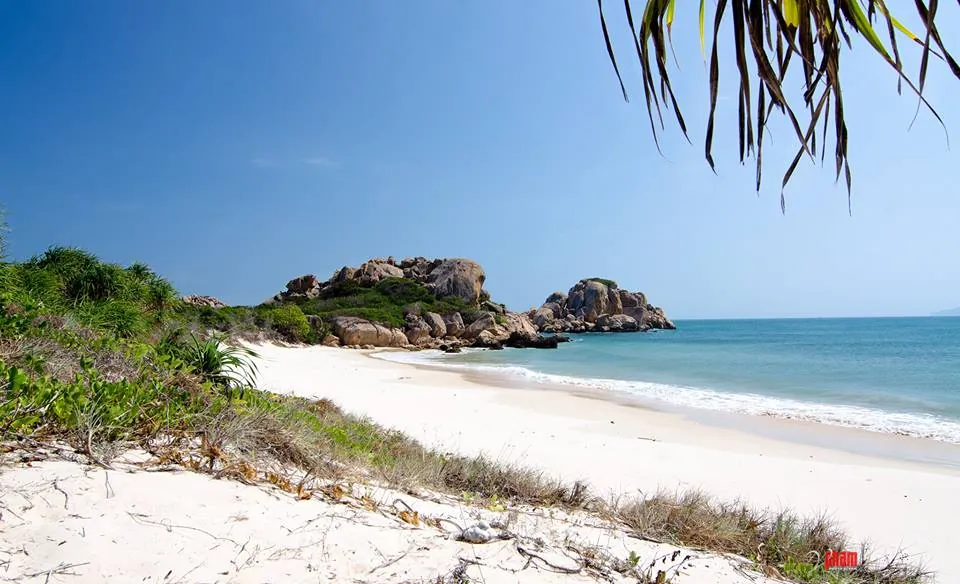 Cắm trại, lặn biển ở Bình Ba - trải nghiệm tuyệt đỉnh nên thử một lần cảnh đẹp đảo Bình Ba