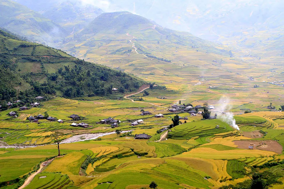 Mù Cang Chải rực vàng giữa mùa thu