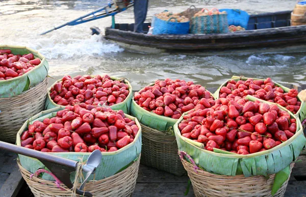 Về Cần Thơ nhớ đi chợ nổi Cái Răng Về Cần Thơ nhớ đi chợ nổi Cái Răng