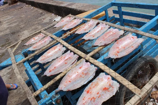 Cẩm nang du lịch đảo Nam Du Cẩm nang du lịch đảo Nam Du