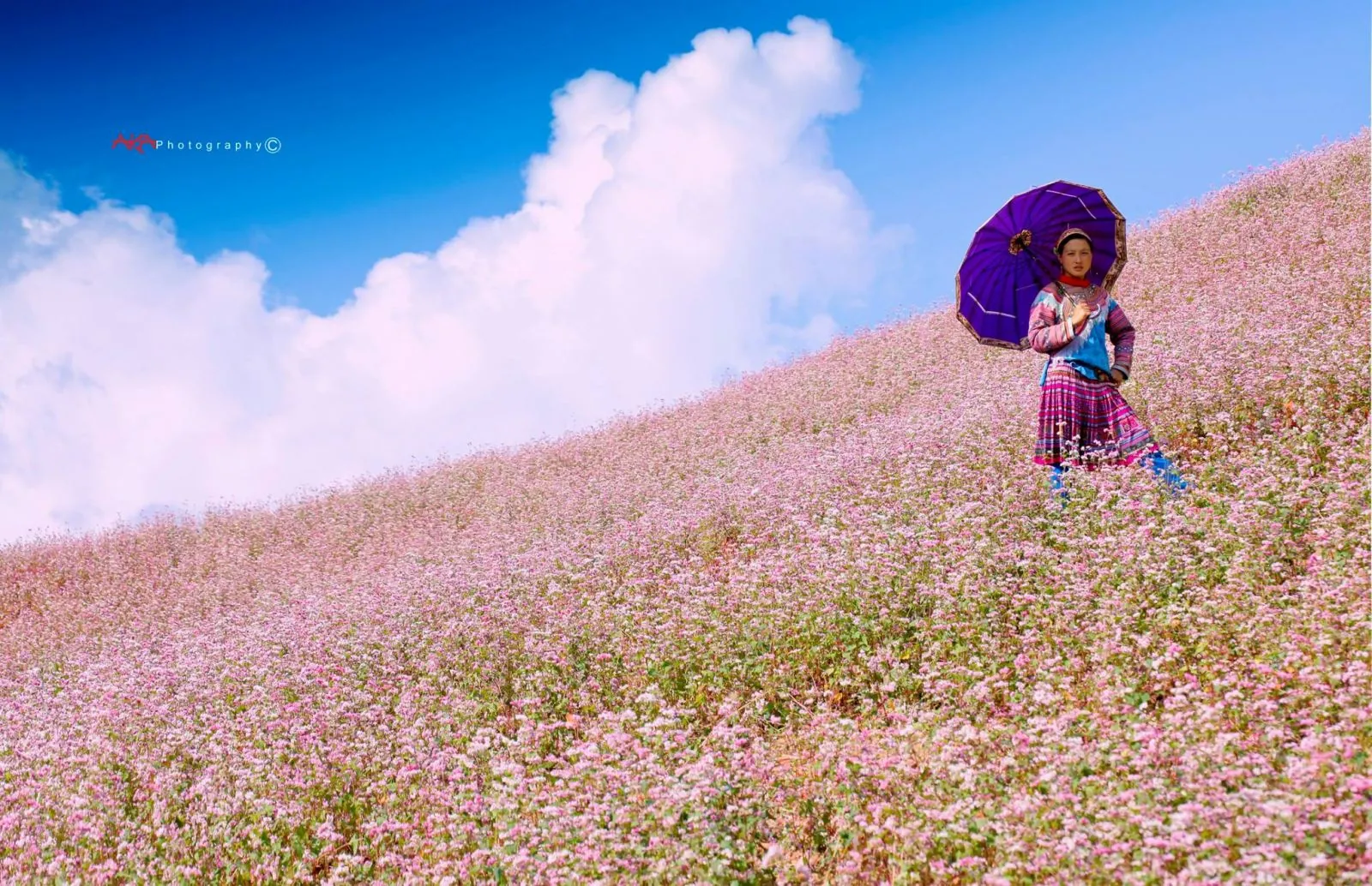 5 địa điểm tuyệt vời để tận hưởng mùa thu trong nước 5 địa điểm tuyệt vời để tận hưởng mùa thu trong nước