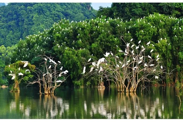 4 điểm du lịch non nước nên thơ ở Ninh Bình điểm du lịch non nước nên thơ ở Ninh Bình