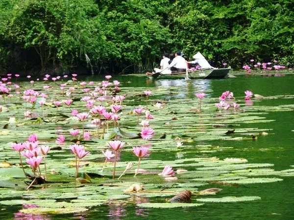 4 điểm du lịch non nước nên thơ ở Ninh Bình điểm du lịch non nước nên thơ ở Ninh Bình