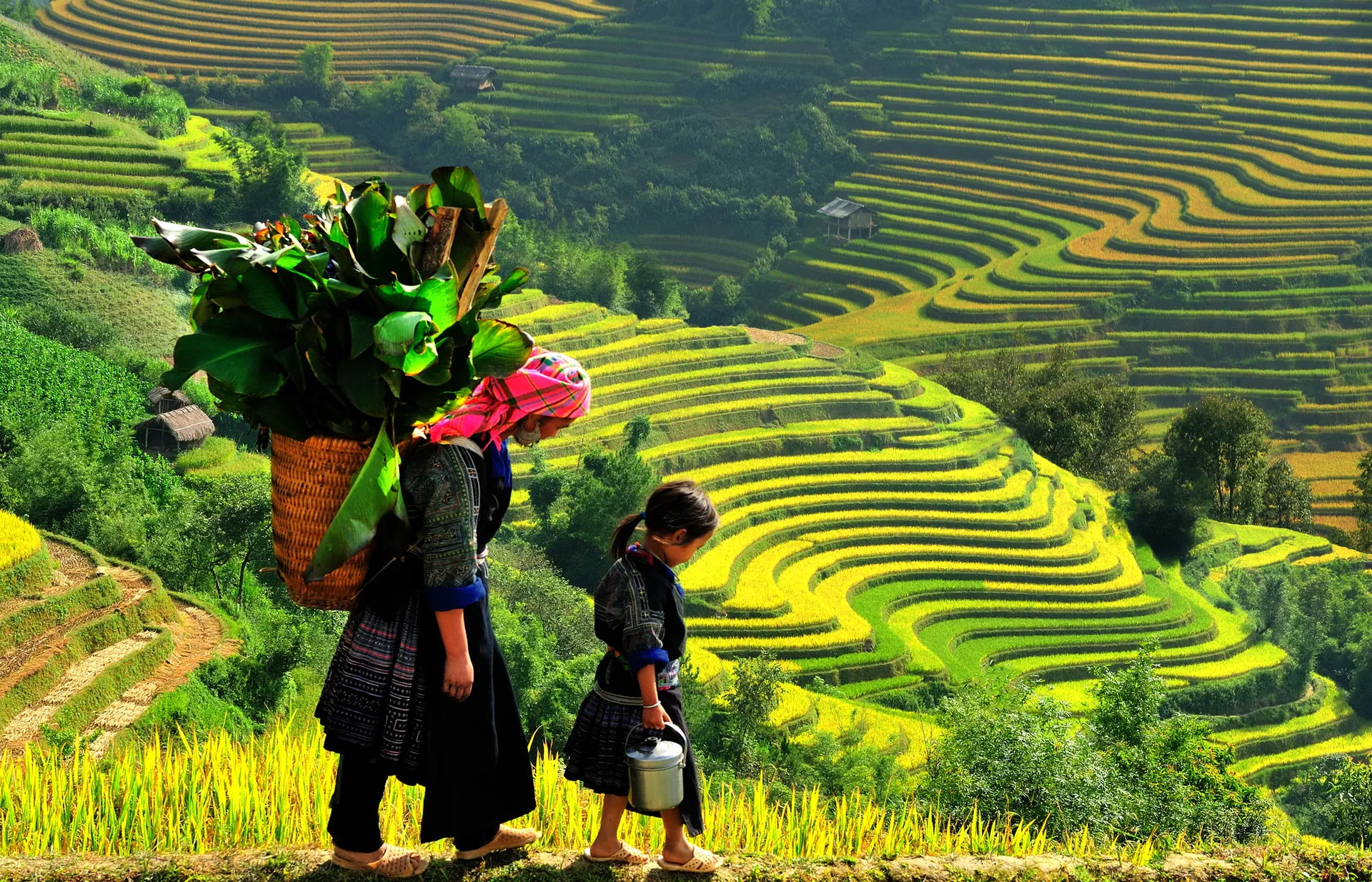 Kinh nghiệm đi du lịch bụi, phượt Sapa giá rẻ