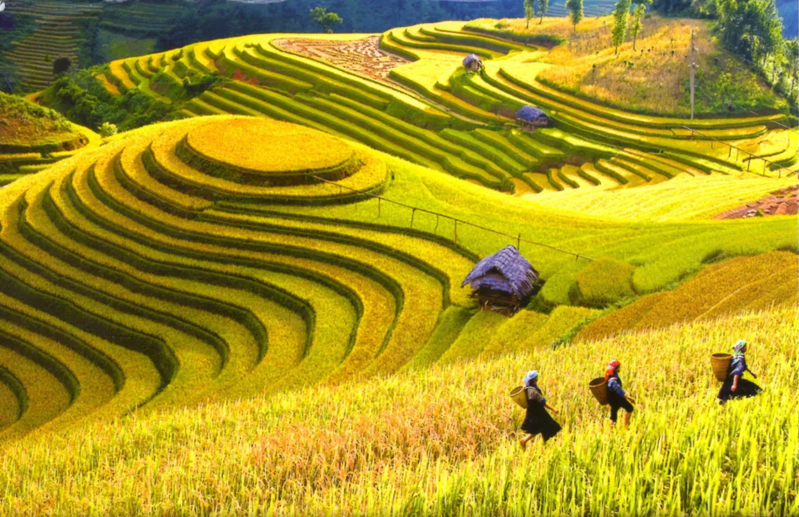 Kinh nghiệm đi du lịch bụi, phượt Sapa giá rẻ