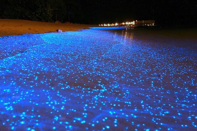 Đẹp ngỡ ngàng 18 bãi biển độc đáo nhất hành tinh những bãi biển độc đáo nhất thế giới