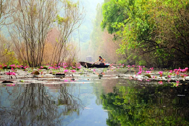 Đẹp lạ lùng suối Yến mùa hoa súng