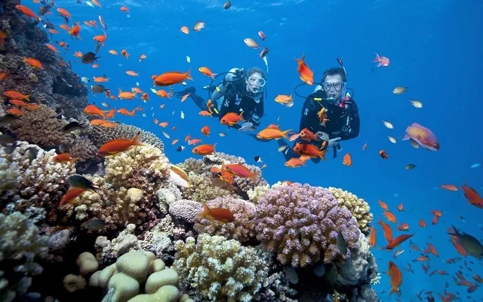 3 điểm khám phá đáy biển tuyệt vời ở Nha Trang