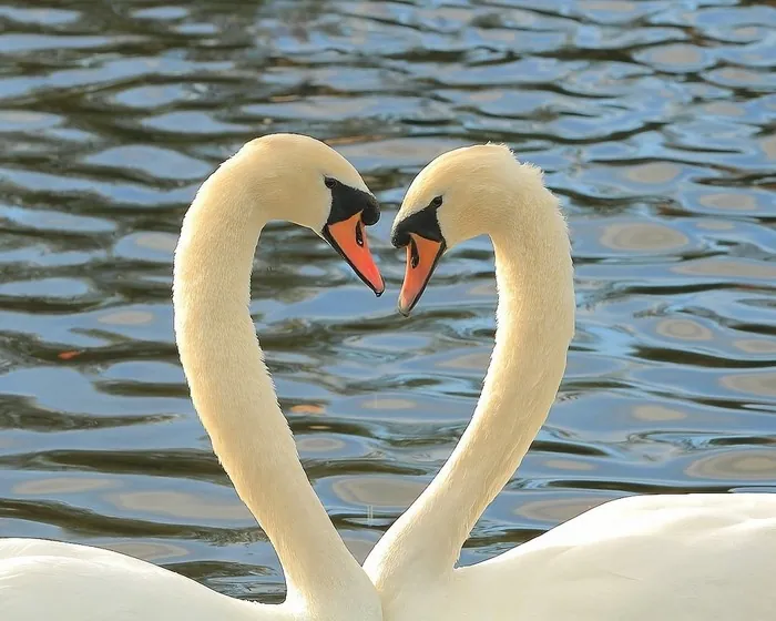 5 địa điểm hẹn hò lãng mạn ngày Valentine ở Sài Gòn