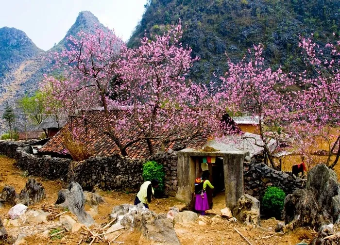 8 điểm du xuân trên cả tuyệt vời dọc miền đất nước