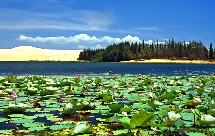Du lịch Phan Thiết ngắm Bàu Sen đầy lãng mạn