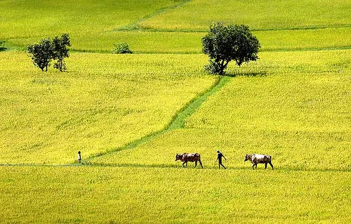 Du lịch Hậu Giang – Một Thoáng Bình Yên