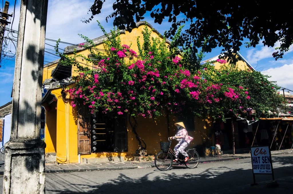 Hội An rực vàng trong ánh nắng
