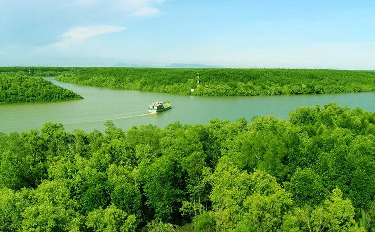 Kinh nghiệm ăn chơi ở Cần Giờ