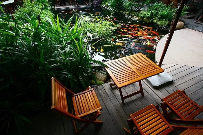 Quán cà phê hút khách bởi cây xanh và hồ cá ở Đà Nẵng