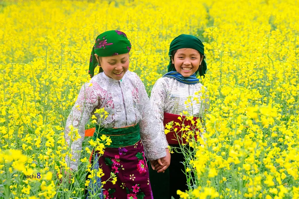 Sắc xuân rực rỡ trên cao nguyên đá Hà Giang