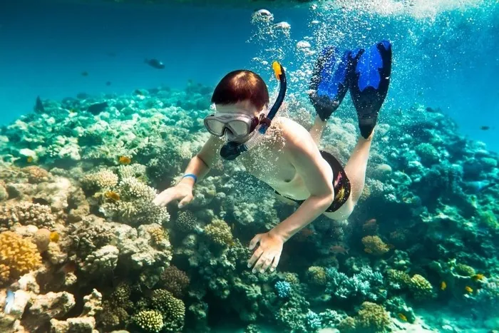Tìm về vùng biển xanh Côn Đảo có gì chơi?