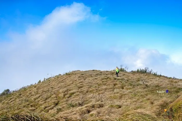 Tình yêu đôi lứa trên đỉnh Lùng Cúng