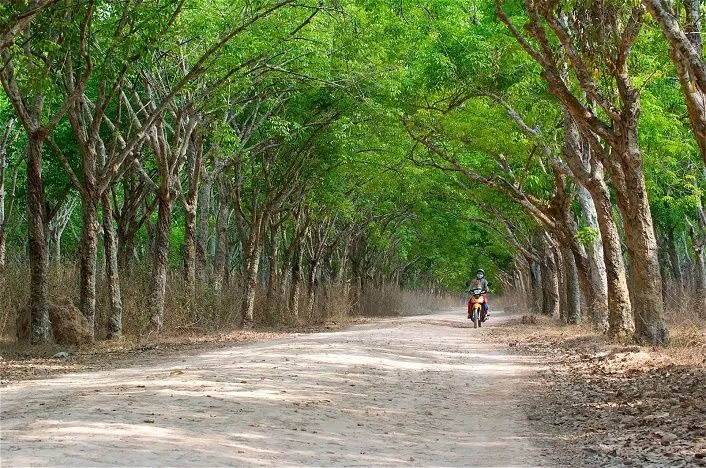 Trải nghiệm phiêu lưu thời chiến nơi đất thép thành đồng Củ Chi