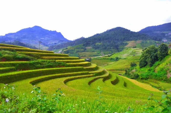 10 lý do khiến ta say mê Tây Bắc
