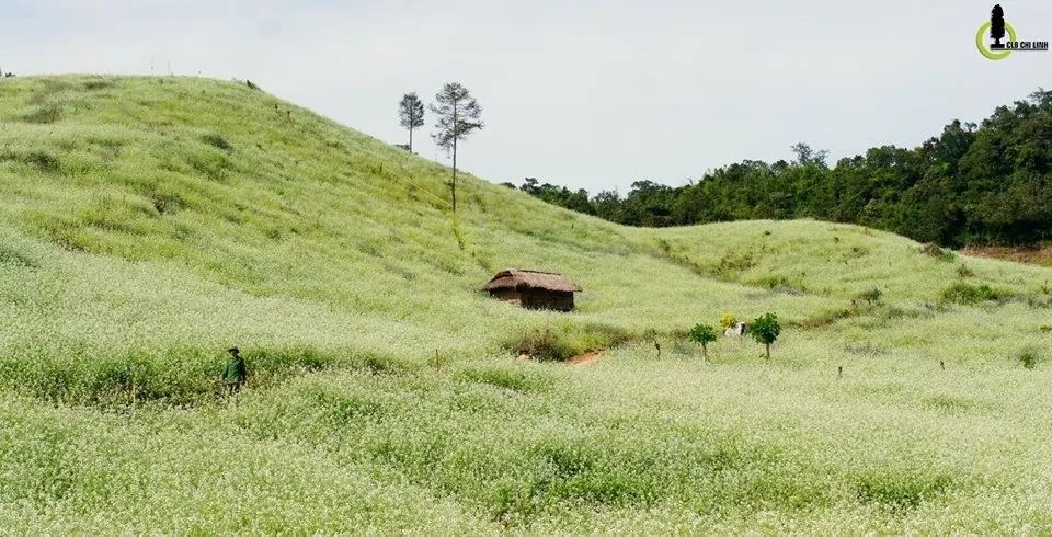 10 lý do khiến ta say mê Tây Bắc