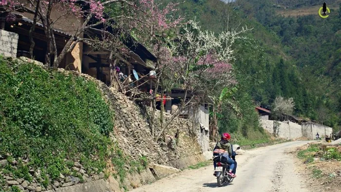 10 lý do khiến ta say mê Tây Bắc